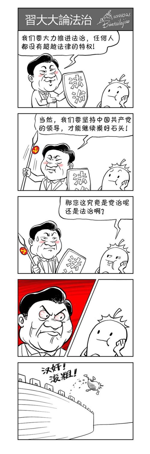 习总论法制.jpg