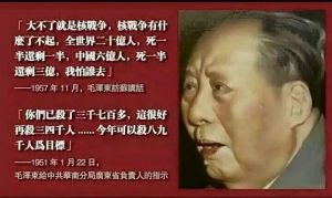 毛泽东评文革.jpg