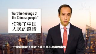 中国人民感情.jpeg